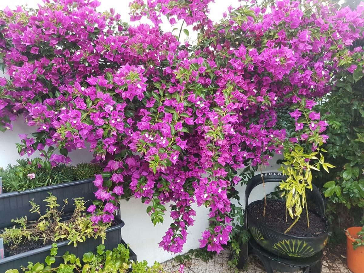 Villa Da Melis 부아르코스 외부 사진