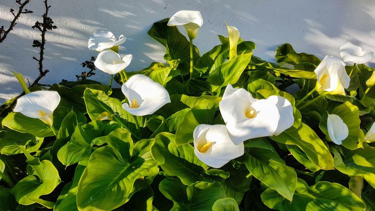 Villa Da Melis 부아르코스 외부 사진